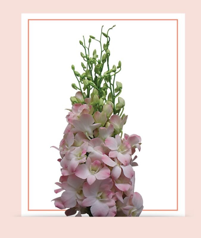 Baby Orchid Rose – 10 Flower Bouquet