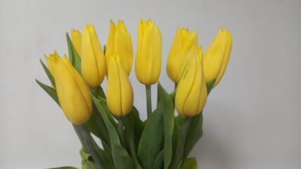 Tulip Yellow– 10 Flower Bouquet A charming bouquet of 10 Yellow-colored tulips, combining romance and elegance in one graceful arrangement.