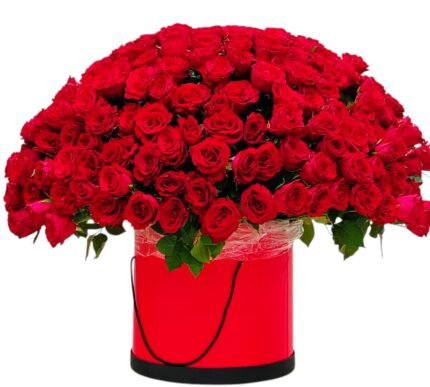 A breathtaking box filled with **200 rich red roses**, a powerful and unforgettable symbol of immense love and passion.